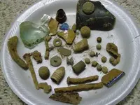 P3220005.webp