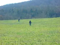 DSCN1296.webp