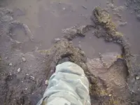 mud.webp