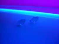 CIMG9985.webp