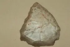 100_0303.webp