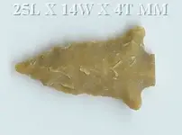 SCALLORN30, FOSSILIFEROUS, ST. CATHERINE CREEK, ADAMS COUNTY, MS.webp