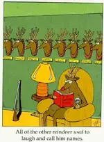 reindeer.webp