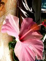 DSCN0873 dupe.webp