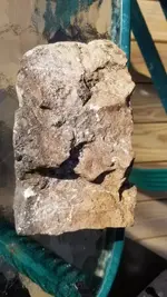 20180217_100343.webp