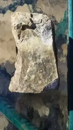 20180217_100323.webp
