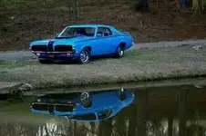 Cougar.webp