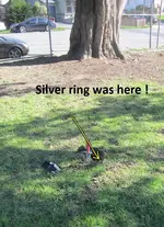 Silver Dimes & Silver Rings 009.webp
