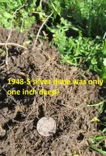 Silver Dimes & Silver Rings 010.webp