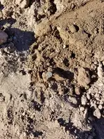 20180224_083714.webp