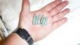 DSCF0341.webp