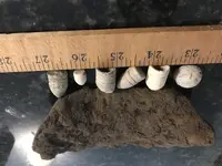 bp2.webp bp2.webp