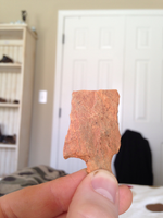 ImageUploadedByTreasureNet.com1519501977.328102.webp