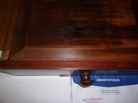 100_0113.webp