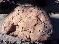 100_0078.webp