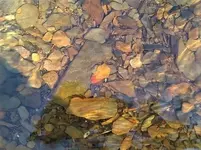 IMG_20180220_123553130.webp