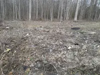 Bottle Dump.webp
