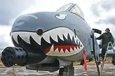A10 Warthog.webp A10 Warthog.webp