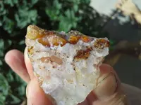 20180128_113219.webp