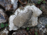 DSCF5533.webp DSCF5533.webp