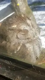 20180117_095743.webp