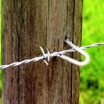 fence wire staple 1.jpg