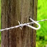 fence wire staple 1.webp