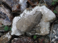 DSCF5534.webp DSCF5534.webp