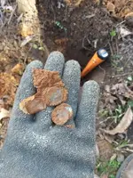 20180203_151209.webp