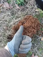 20180203_171846.webp