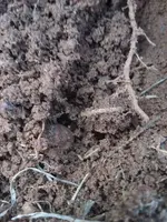 20180203_172441.webp
