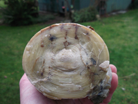 DSCF5557.webp