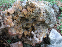 DSCF5538 (1).webp