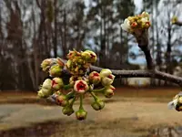 DSCN1502.webp