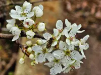 DSCN1505.webp