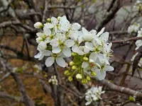 DSCN1507.webp