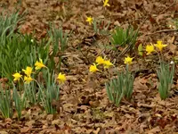 DSCN1509.webp