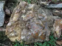 DSCF5548.webp
