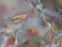 DSCF5574.webp