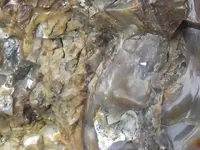DSCF5575.webp
