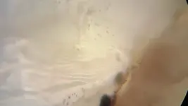 20180126_183019.webp