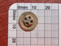 Button back.webp