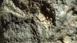 20170310_092606_HDR.webp