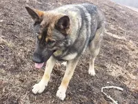 20180224_134320.webp