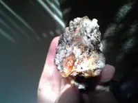 20180204_095643.webp
