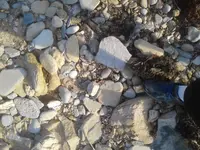 benjamins beach 2.webp