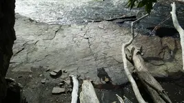 NY LAKE ARROW 2.webp
