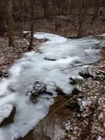 IMG_20180109_084505241.webp