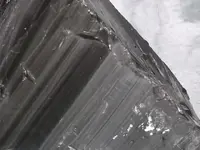 DSCF5272.webp