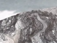 DSCF5276.webp